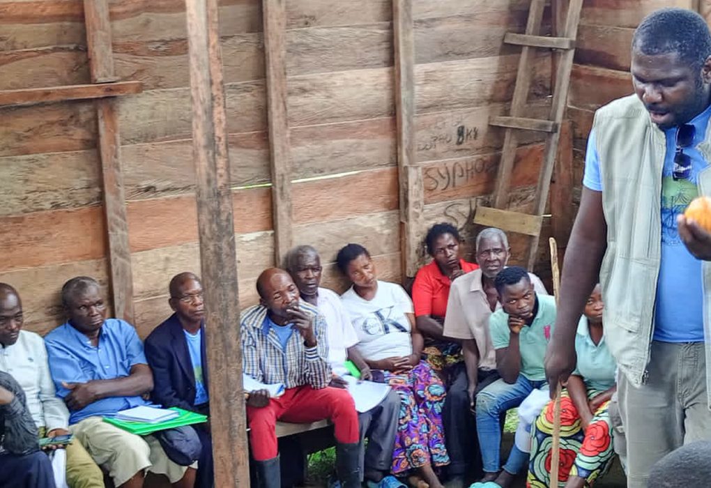 Amkeni Mkulima cooperative in cocoa production