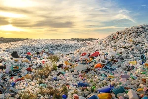 des bouteilles plastiques, une pollution à l'environnement/photo crédit